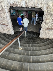 Randers Regnskov - Akvarium og Sydamerika