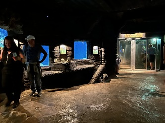 Randers Regnskov - Akvarium og Sydamerika