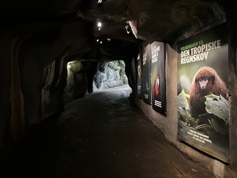 Randers Regnskov - Akvarium og Sydamerika