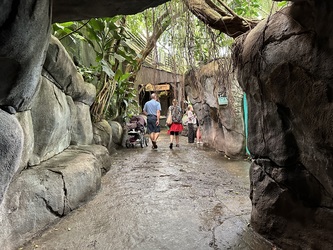 Randers Regnskov - Akvarium og Sydamerika