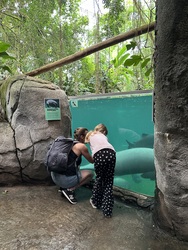 Randers Regnskov - Akvarium og Sydamerika