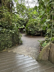 Randers Regnskov - Akvarium og Sydamerika