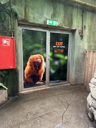 Randers Regnskov - Akvarium og Sydamerika