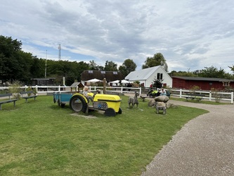 Randers Regnskov - Udendørs udstilling
