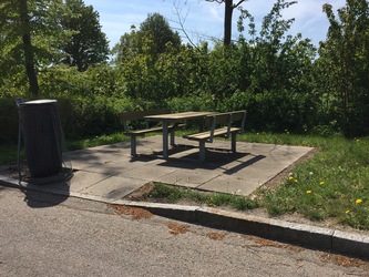Viemose Rasteplads