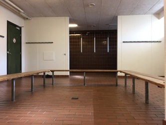 Rødding Minihal