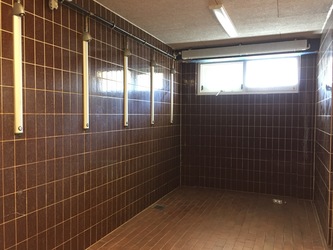 Rødding Minihal