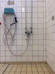 Søndre Skole - 1. Svømmehal, damer