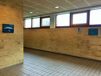 Gymnastik- og Idrætshøjskolen Viborg - Svømmehal