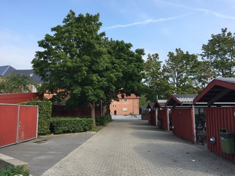 Hørsholm Skole -  7. Bygning F - Den Lille Sal