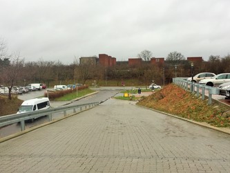 Storehuslægerne