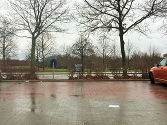 Storehuslægerne