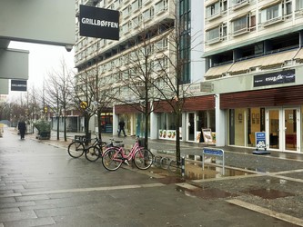 Storehuslægerne