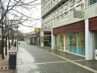 Storehuslægerne
