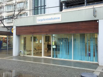 Storehuslægerne