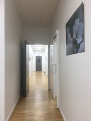 Storehuslægerne