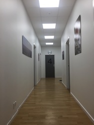 Storehuslægerne