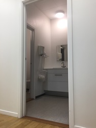 Storehuslægerne