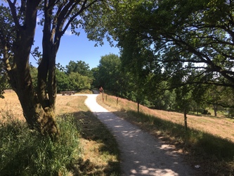 Vedsø - Udflugtsområde ved Viborg Flyveplads