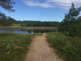 Birkesø -  Badesø og picnicområde