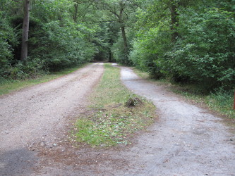 Bjerring Egeskov picnicområde