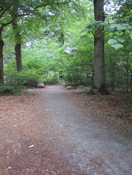 Bjerring Egeskov picnicområde