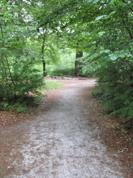 Bjerring Egeskov picnicområde