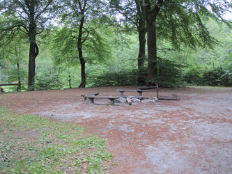 Bjerring Egeskov picnicområde