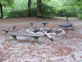 Bjerring Egeskov picnicområde