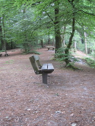 Bjerring Egeskov picnicområde