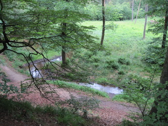 Bjerring Egeskov picnicområde