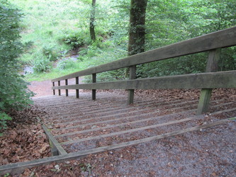 Bjerring Egeskov picnicområde