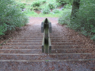 Bjerring Egeskov picnicområde