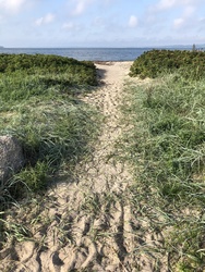 Vibæk Strand