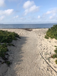 Vibæk Strand