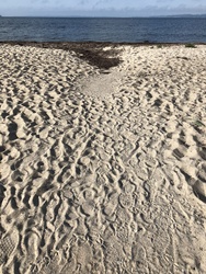 Vibæk Strand