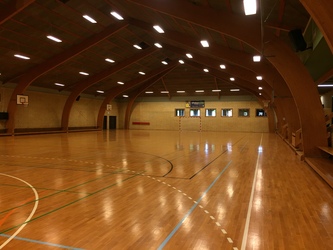 Trælleruphallen