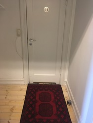 Lægerne i Slotsmøllen