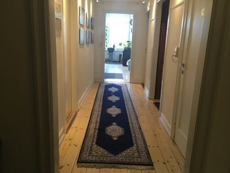 Lægerne i Slotsmøllen