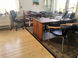 Lægerne i Slotsmøllen