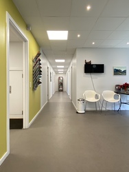Klinik Falken