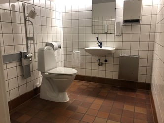 Pindstrup Centret II - Toilet i  Mødecenter II