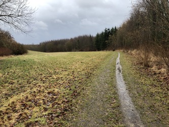 Otterup Byskov - Rundtur (1,4 km)