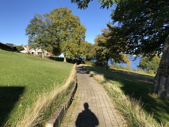 Følstruphusene - Sti til søen