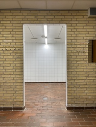 Bramsnæsvighallen