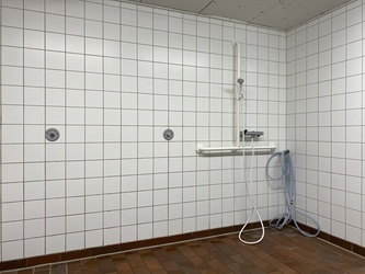 Bramsnæsvighallen