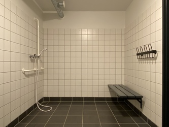Bramsnæsvighallen
