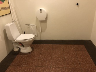 Energimuseet -  Billetsalg, Ørsted salen og toiletfaciliteter