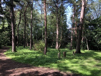 Mariebjerg Kirkegård