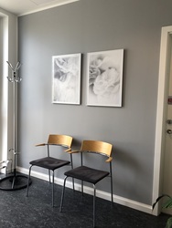 Gynækologisk Klinik